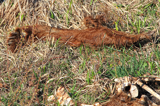 Izlet u Libinje 6. travnja 2011, Foto: Leo Banic