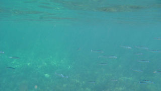 OLYMPUS DIGITAL CAMERA OLYMPUS DIGITAL CAMERA