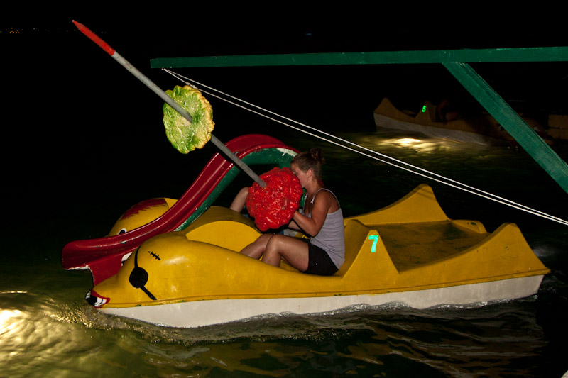 Biograd na Moru: 3. Morska alga, Foto: Franjo Jurić
