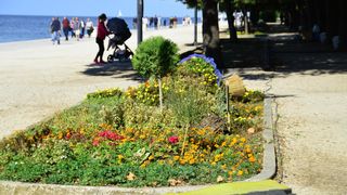 Đir po zadarskoj rivi 9. listopada 2016.