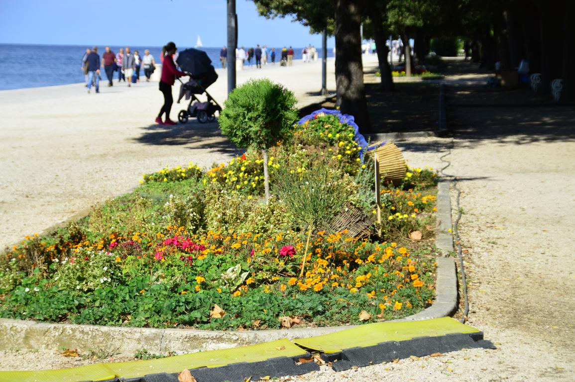 Đir po zadarskoj rivi 9. listopada 2016.