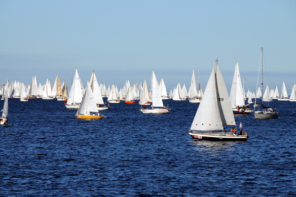 Trst: Barcolana 2009.