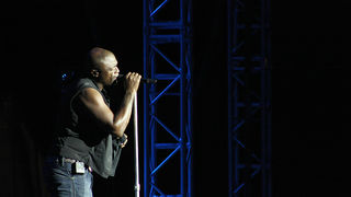 Seal u Zadru 14. srpnja 2010. (foto:Saša Čuka)