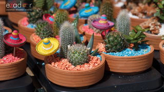 Đir po gradu, četvrtak 19. travnja 2018. Đir po gradu, četvrtak 19. travnja 2018.