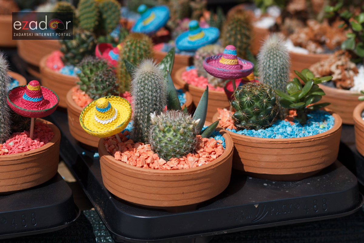 Đir po gradu, četvrtak 19. travnja 2018. Đir po gradu, četvrtak 19. travnja 2018.