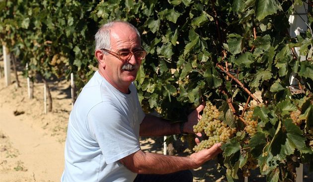 Šime Škaulj, foto: Slobodna Dalmacija