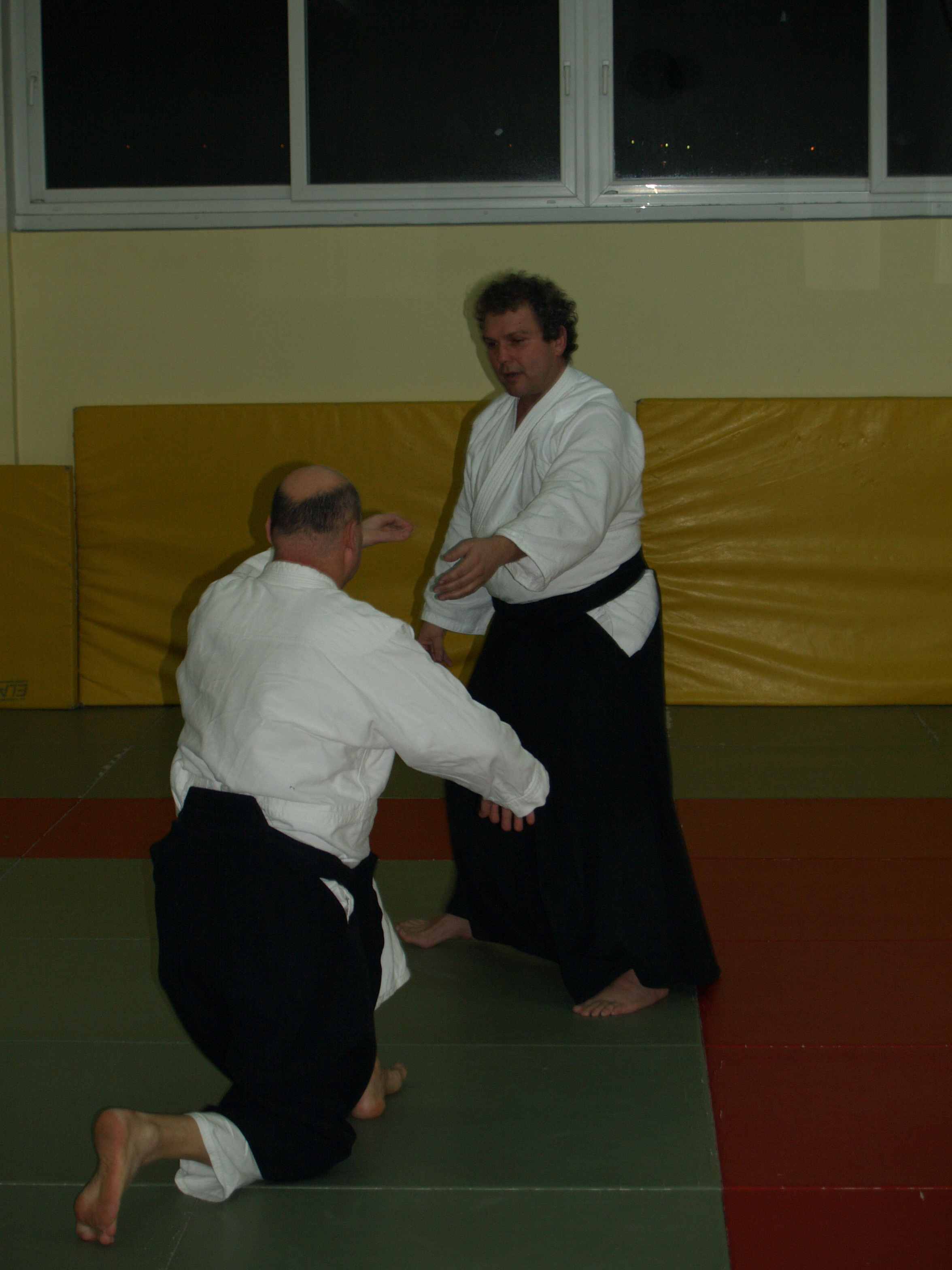 Aikido, seminar Alesa Leskovseka u AK Donat