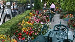 Image 1185595 (auto)