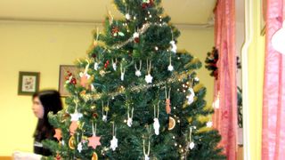 OLYMPUS DIGITAL CAMERA OLYMPUS DIGITAL CAMERA