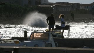 Image 1177859 (auto)