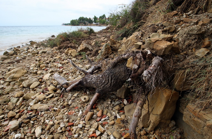 Zadar, 020912.
Nakon jucerasnjeg kisnog dana i danas se zbrajaju stete. Na arbanaskom setalistu Karma doslo je i do nekoliko odrona, a na jednom djelu ugrozena je setnica i sigurnost setaca.
Na fotografiji: prizor na mjestu odrona.
Foto: Jure Miskovic / C Zadar, 020912.
Nakon jucerasnjeg kisnog dana i danas se zbrajaju stete. Na arbanaskom setalistu Karma doslo je i do nekoliko odrona, a na jednom djelu ugrozena je setnica i sigurnost setaca.
Na fotografiji: prizor na mjestu odrona.
Foto: Jure Miskovic / C