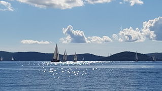 Zadarska Koka 2016. 22. listopada 2016. Foto: Mladen Malik Zadarska Koka 2016. 22. listopada 2016. Foto: Mladen Malik