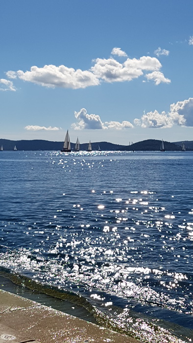 Zadarska Koka 2016. 22. listopada 2016. Foto: Mladen Malik Zadarska Koka 2016. 22. listopada 2016. Foto: Mladen Malik