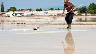 Solana Nin, berba soli, foto: Leo Banić