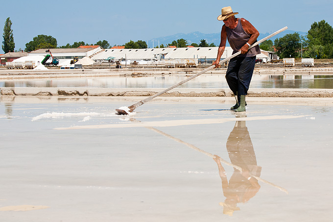 Solana Nin, berba soli, foto: Leo Banić
