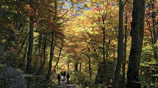 Paklenica: Boje jeseni, Foto: Mladen Radolovic Mrlja