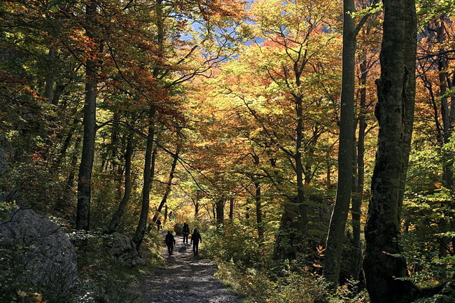 Paklenica: Boje jeseni, Foto: Mladen Radolovic Mrlja