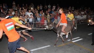 10. međunarodna trka tovarov Tisno 2015