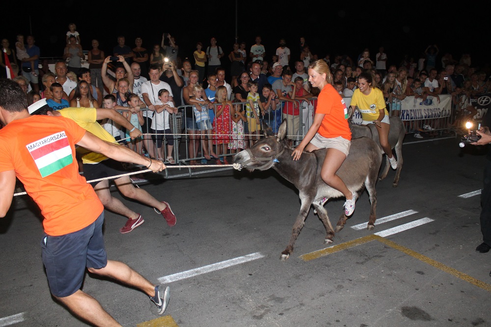 10. međunarodna trka tovarov Tisno 2015