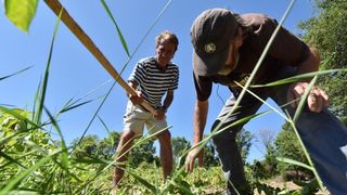 Zadarski beskucnici angazirani su na sadnji krumpira koji cini dio ponude pucke kuhinje u kojoj se i sami hrane. Photo: Dino Stanin/PIXSELL Zadarski beskucnici angazirani su na sadnji krumpira koji cini dio ponude pucke kuhinje u kojoj se i sami hrane. Photo: Dino Stanin/PIXSELL