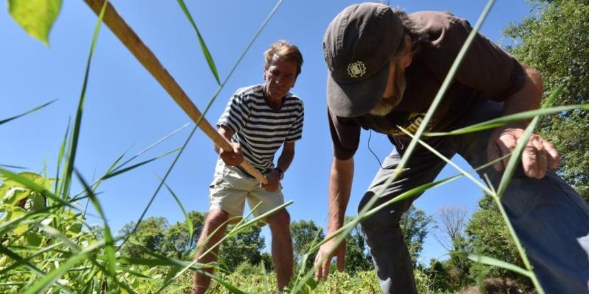 Zadarski beskucnici angazirani su na sadnji krumpira koji cini dio ponude pucke kuhinje u kojoj se i sami hrane. Photo: Dino Stanin/PIXSELL Zadarski beskucnici angazirani su na sadnji krumpira koji cini dio ponude pucke kuhinje u kojoj se i sami hrane. Photo: Dino Stanin/PIXSELL