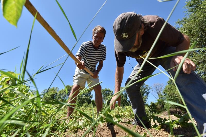 Zadarski beskucnici angazirani su na sadnji krumpira koji cini dio ponude pucke kuhinje u kojoj se i sami hrane. Photo: Dino Stanin/PIXSELL Zadarski beskucnici angazirani su na sadnji krumpira koji cini dio ponude pucke kuhinje u kojoj se i sami hrane. Photo: Dino Stanin/PIXSELL