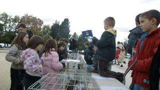 Izložba golubova na Poljani Ivana Pavla II. Izložba golubova na Poljani Ivana Pavla II.