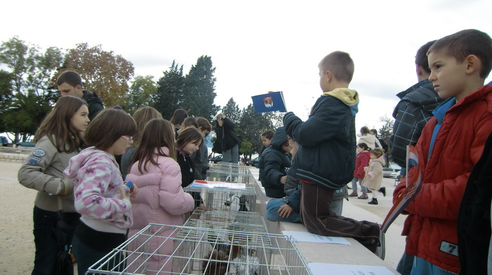 Izložba golubova na Poljani Ivana Pavla II. Izložba golubova na Poljani Ivana Pavla II.