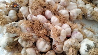 Gospić: Jesen u Lici 2018. Gospić: Jesen u Lici 2018.