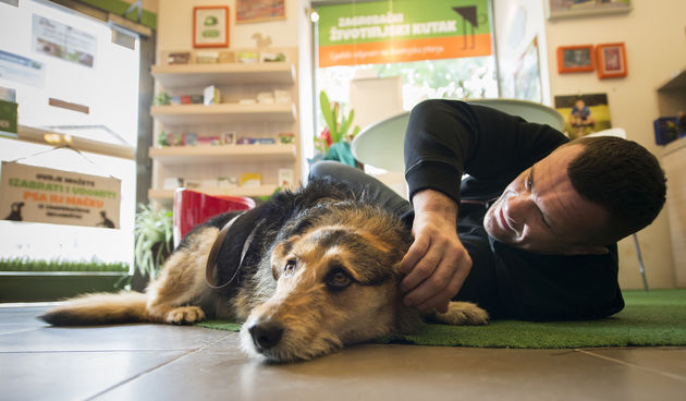 Mirko Filipović pomaže udomljavanje pasa iz azila Dumovec