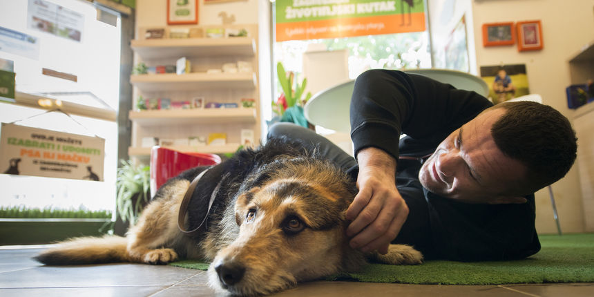Mirko Filipović pomaže udomljavanje pasa iz azila Dumovec