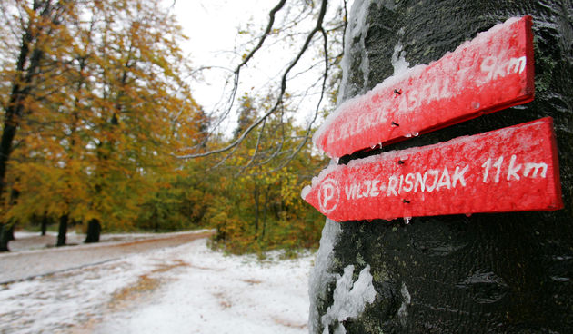 Prvi ovosezonski snijeg zabijelio je Platak, omiljeno izletiste i skijaliste Rijecana. Foto: Zeljko Sop / CROPIX