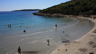 Image 1117659 (auto)