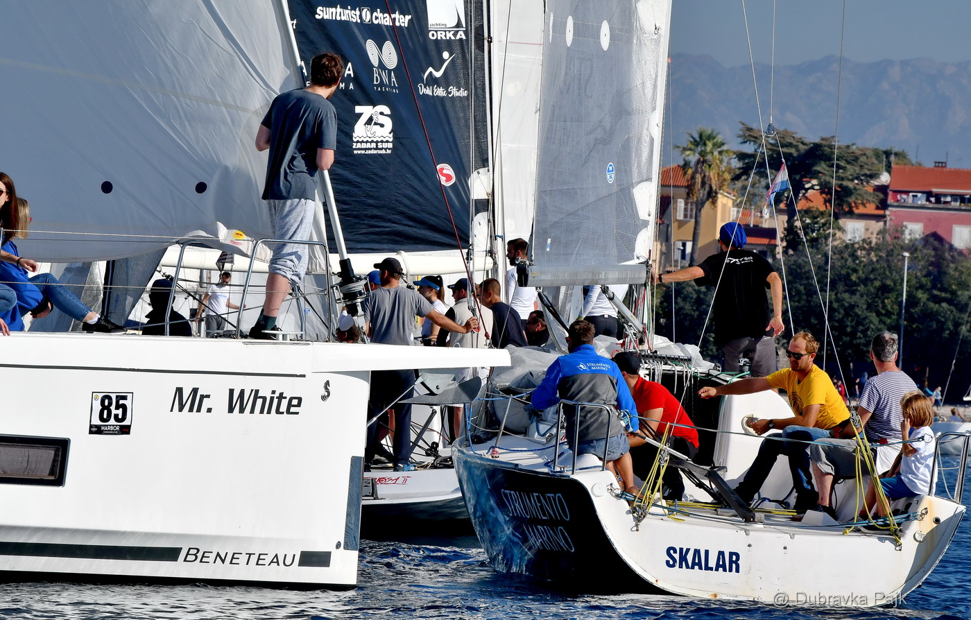 Sva lica “Zadarske koke” Sva lica “Zadarske koke”