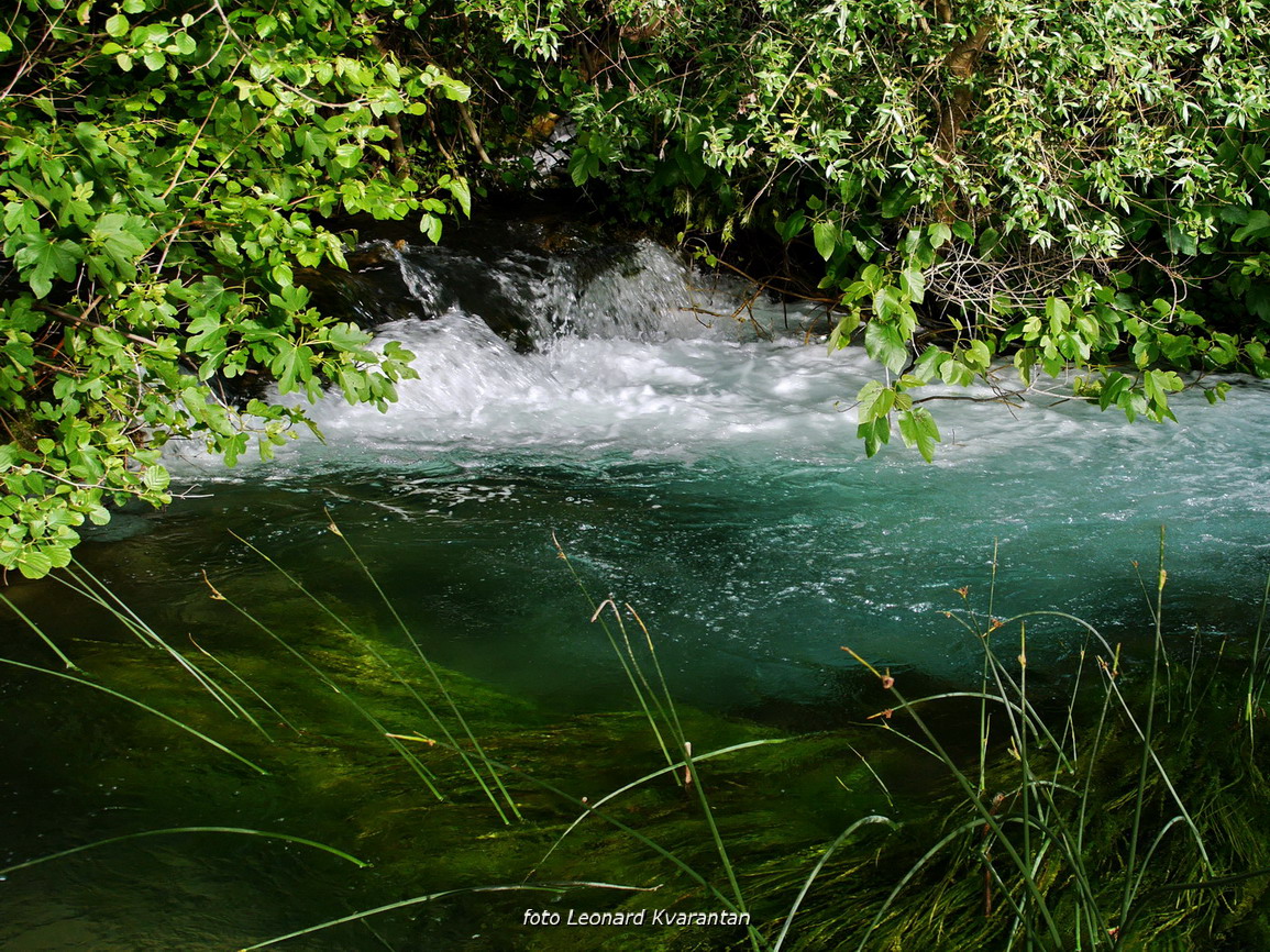 Prvosvibanjski izlet na Skradinski Buk