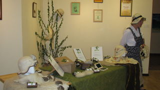 Crna ovca u Baški na otoku Krku Crna ovca u Baški na otoku Krku