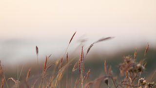 Đir do Ljupča, foto: Darko Belančić