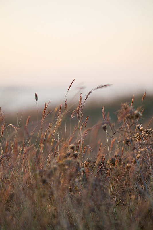 Đir do Ljupča, foto: Darko Belančić