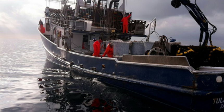 Image 378533 (auto) Image 378533 (auto)