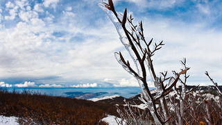 Đir do vrha Zečjak na sjevernom Velebitu, Foto: Leo Banić