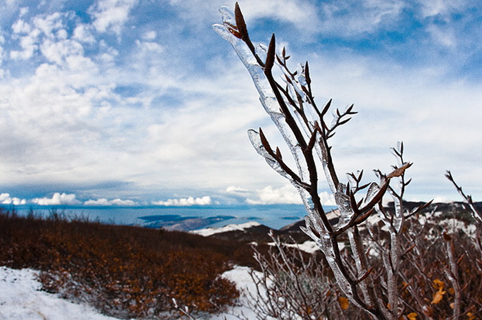 Đir do vrha Zečjak na sjevernom Velebitu, Foto: Leo Banić