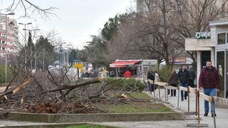 Na Bulevaru posječena stabla lipe stara 40 godina