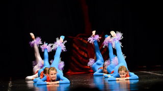 Circo Art u HNK Zadar izveo predstavu “Povratak u prirodu”