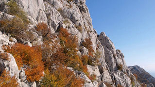 OLYMPUS DIGITAL CAMERA OLYMPUS DIGITAL CAMERA