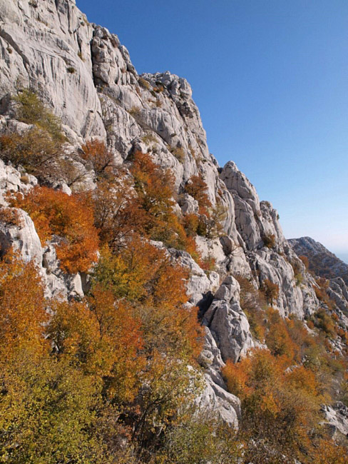 OLYMPUS DIGITAL CAMERA OLYMPUS DIGITAL CAMERA