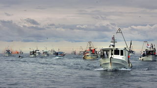 Umag, Savudrija, 071109.
Ribarski konvoj organiziran zbog protivljenja arbitraznom sporazumu sa Slovenijom smatrajuci da bi njegovom primjenom Hrvatska mogla ostati bez dijela svog teritorijalnog mora juznije od crte sredine Savudrijske vale. Prosvjedoval Umag, Savudrija, 071109.
Ribarski konvoj organiziran zbog protivljenja arbitraznom sporazumu sa Slovenijom smatrajuci da bi njegovom primjenom Hrvatska mogla ostati bez dijela svog teritorijalnog mora juznije od crte sredine Savudrijske vale. Prosvjedoval