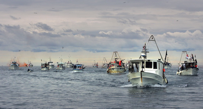 Umag, Savudrija, 071109.
Ribarski konvoj organiziran zbog protivljenja arbitraznom sporazumu sa Slovenijom smatrajuci da bi njegovom primjenom Hrvatska mogla ostati bez dijela svog teritorijalnog mora juznije od crte sredine Savudrijske vale. Prosvjedoval Umag, Savudrija, 071109.
Ribarski konvoj organiziran zbog protivljenja arbitraznom sporazumu sa Slovenijom smatrajuci da bi njegovom primjenom Hrvatska mogla ostati bez dijela svog teritorijalnog mora juznije od crte sredine Savudrijske vale. Prosvjedoval