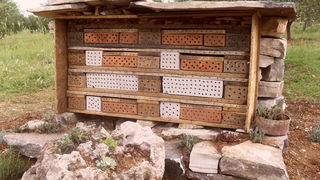 Hotel za solitarne pčele i druge korisne kukce u ekološkom masliniku OPG-a Čirjak