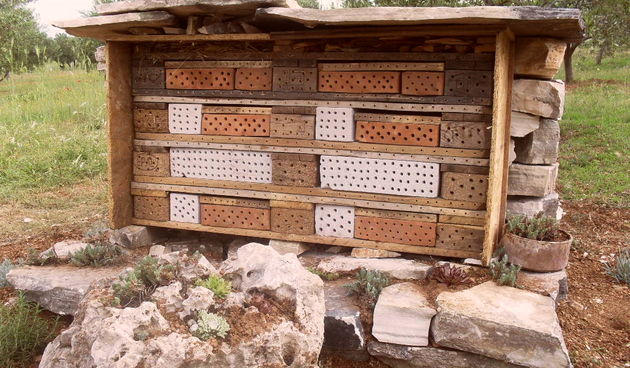 Hotel za solitarne pčele i druge korisne kukce u ekološkom masliniku OPG-a Čirjak