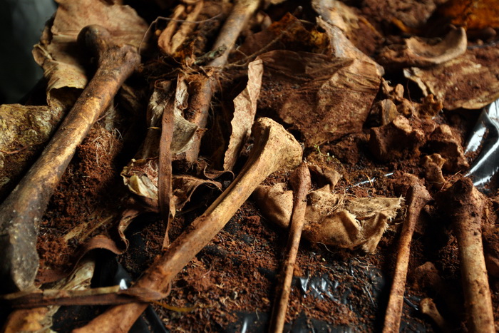 Zadar, 020513.
Gradsko groblje. 
Ministarstvo branitelja je na Gradskom groblju u Zadru predstavilo rezultate ekshumacije posmrtnih ostataka zrtava srpske nacionalnosti koje su stradale u Domovinskom ratu 1995. godine. 
Foto: Jure Miskovic / CROPIX